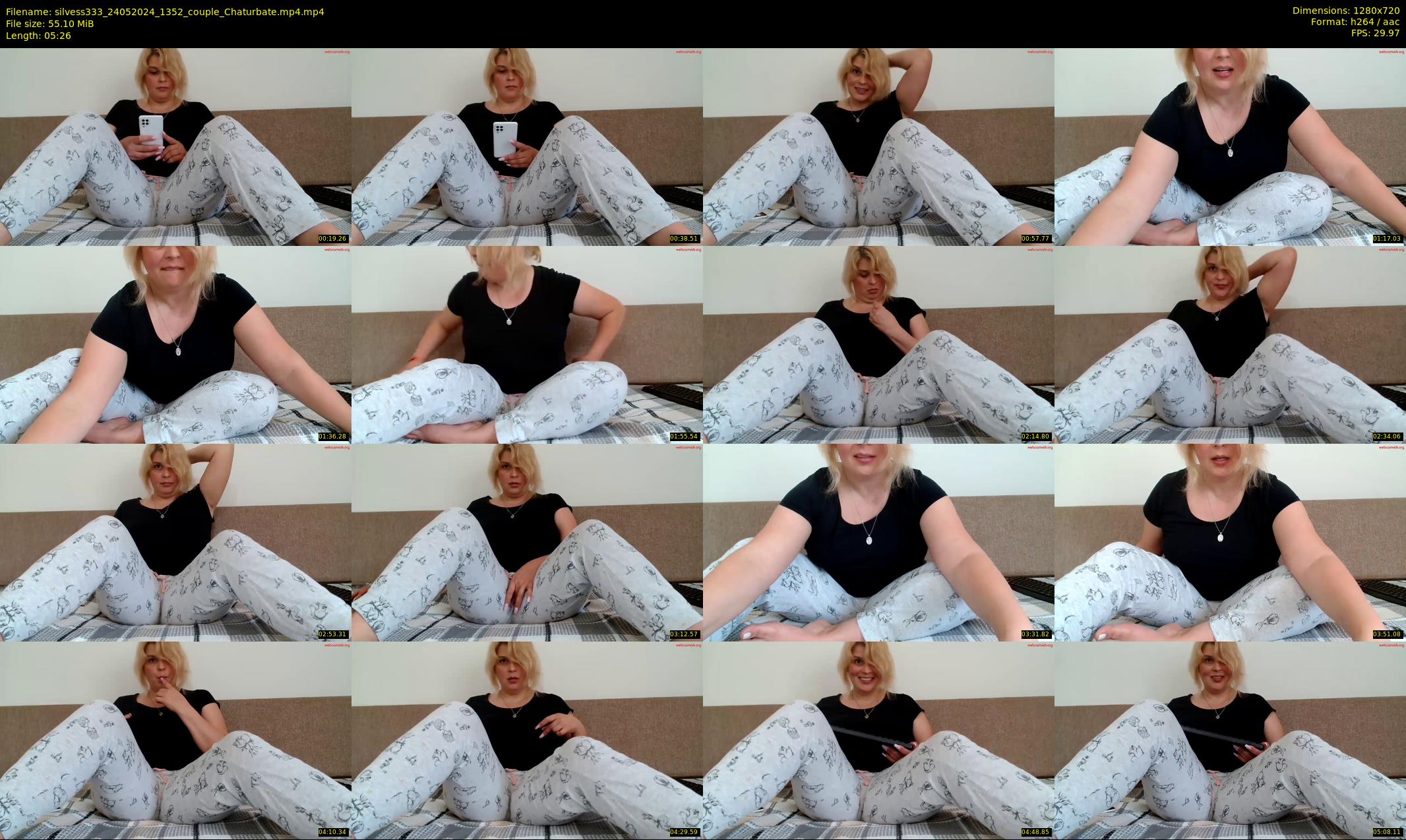 silvess333 — 6 minute Chaturbate female cam show recording, 720p, May 24, 2024