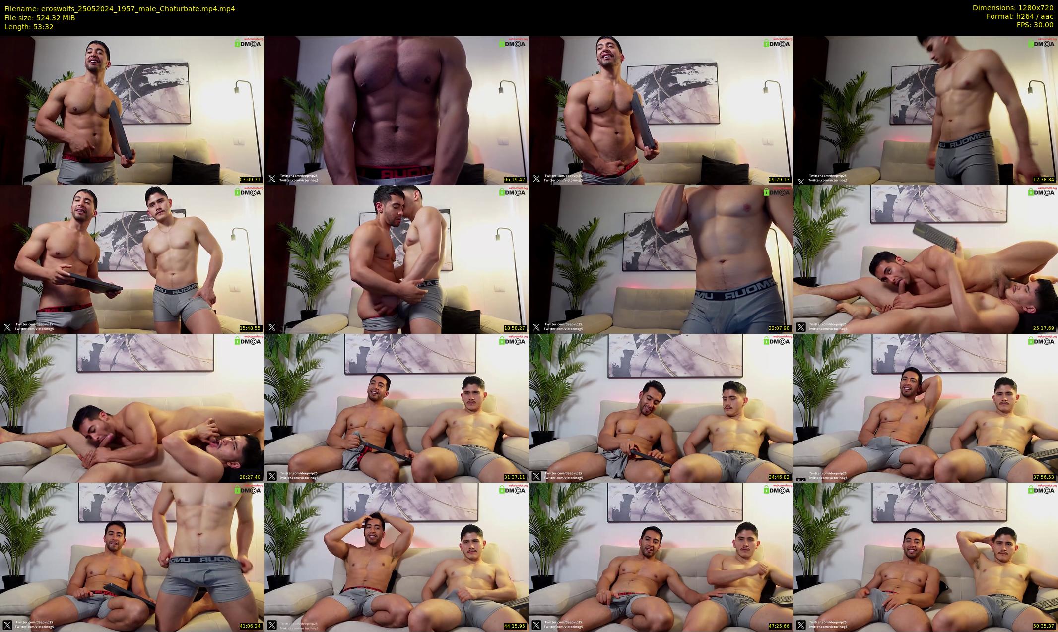 eroswolfs — 54 minute Chaturbate male cam show recording, 720p, May 25, 2024