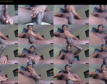 real1dk — 45 minute Chaturbate male cam show recording, 480p, May 25, 2024