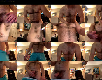 furryhugs69 — 4 minute Chaturbate male cam show recording, 720p, May 26, 2024