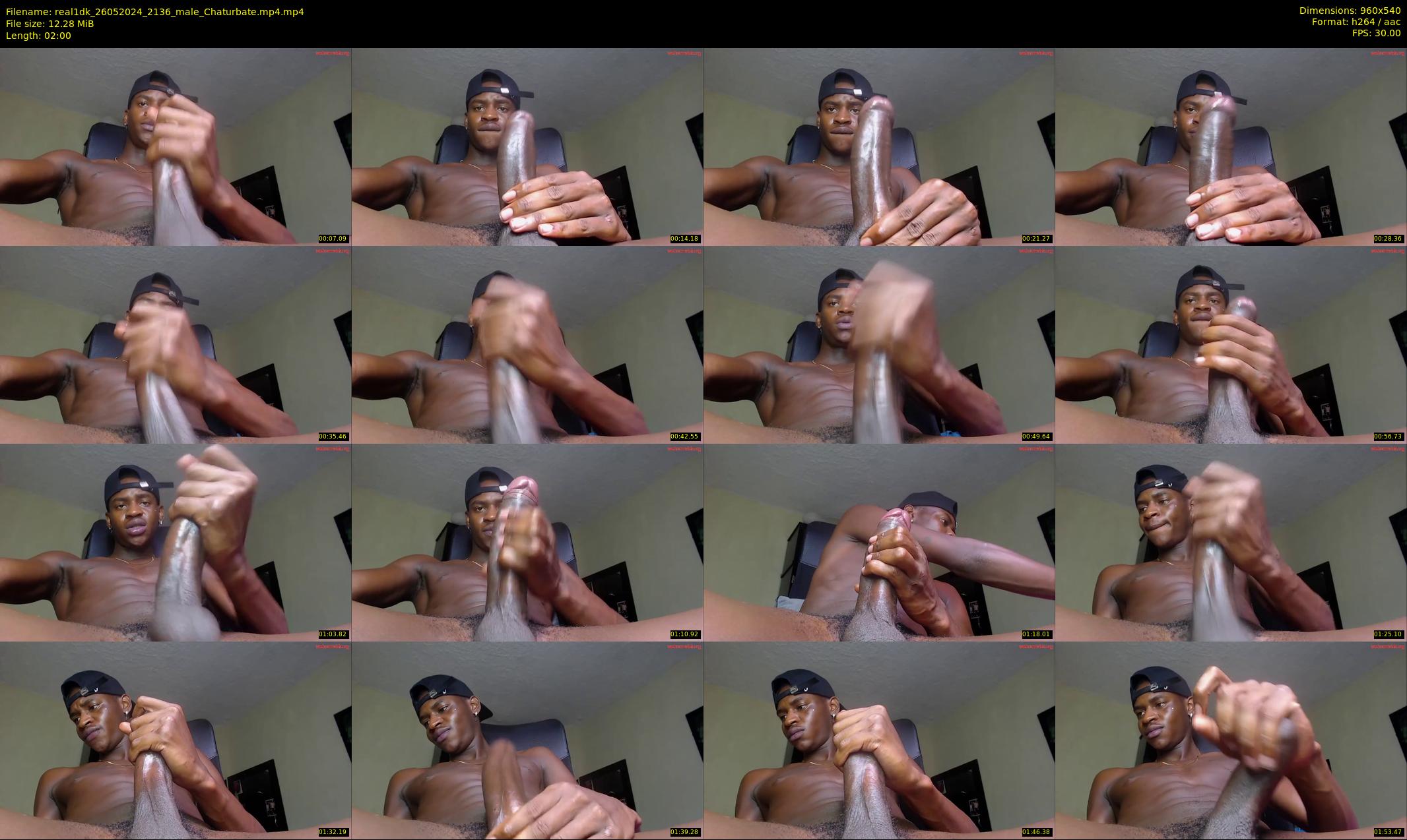 real1dk — 2 minute Chaturbate male cam show recording, 480p, May 26, 2024