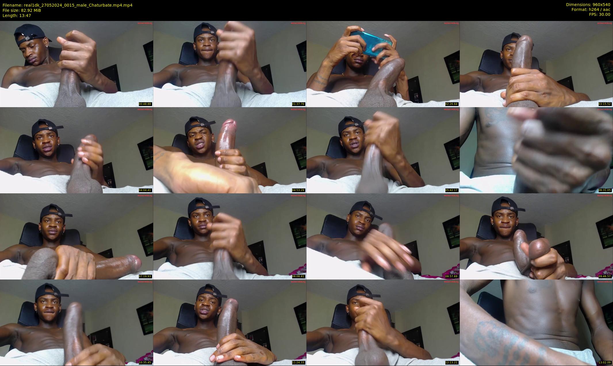 real1dk — 14 minute Chaturbate male cam show recording, 480p, May 27, 2024