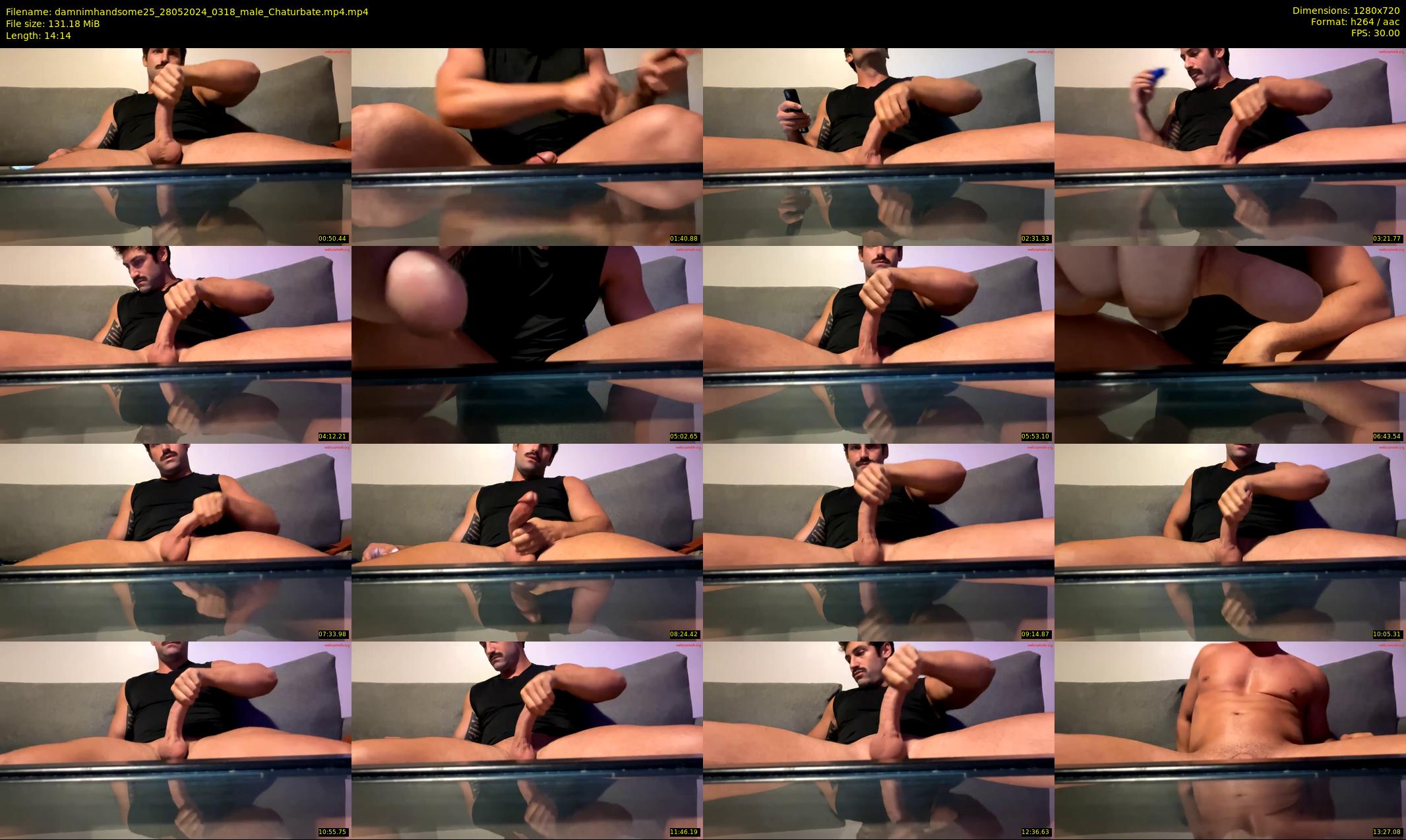 damnimhandsome25 — 15 minute Chaturbate male cam show recording, 720p, May 28, 2024