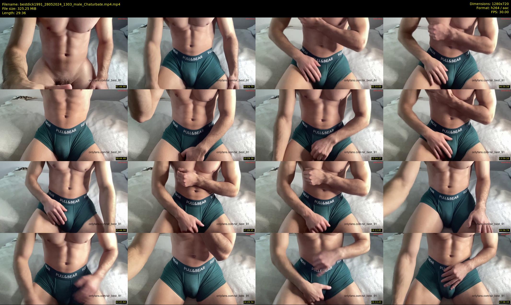 bestdick1991 — 30 minute Chaturbate male cam show recording, 720p, May 28, 2024