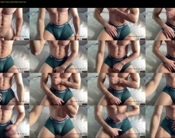 bestdick1991 — 30 minute Chaturbate male cam show recording, 720p, May 28, 2024