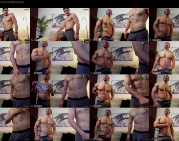 eroswolfs — 13 minute Chaturbate male cam show recording, 720p, May 28, 2024