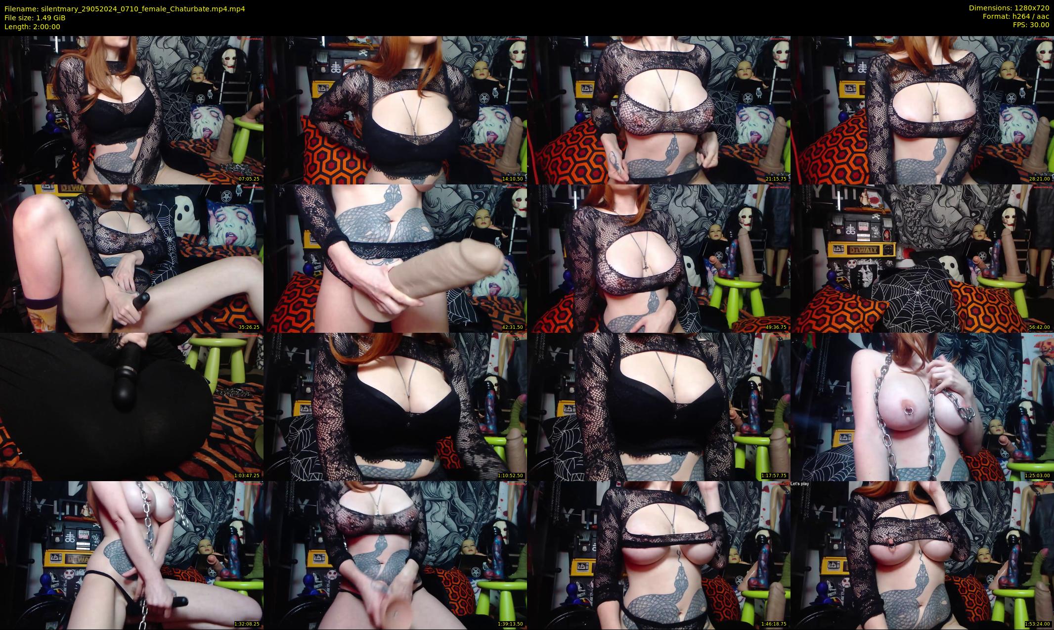 silentmary — 120 minute Chaturbate female cam show recording, 720p, May 29, 2024