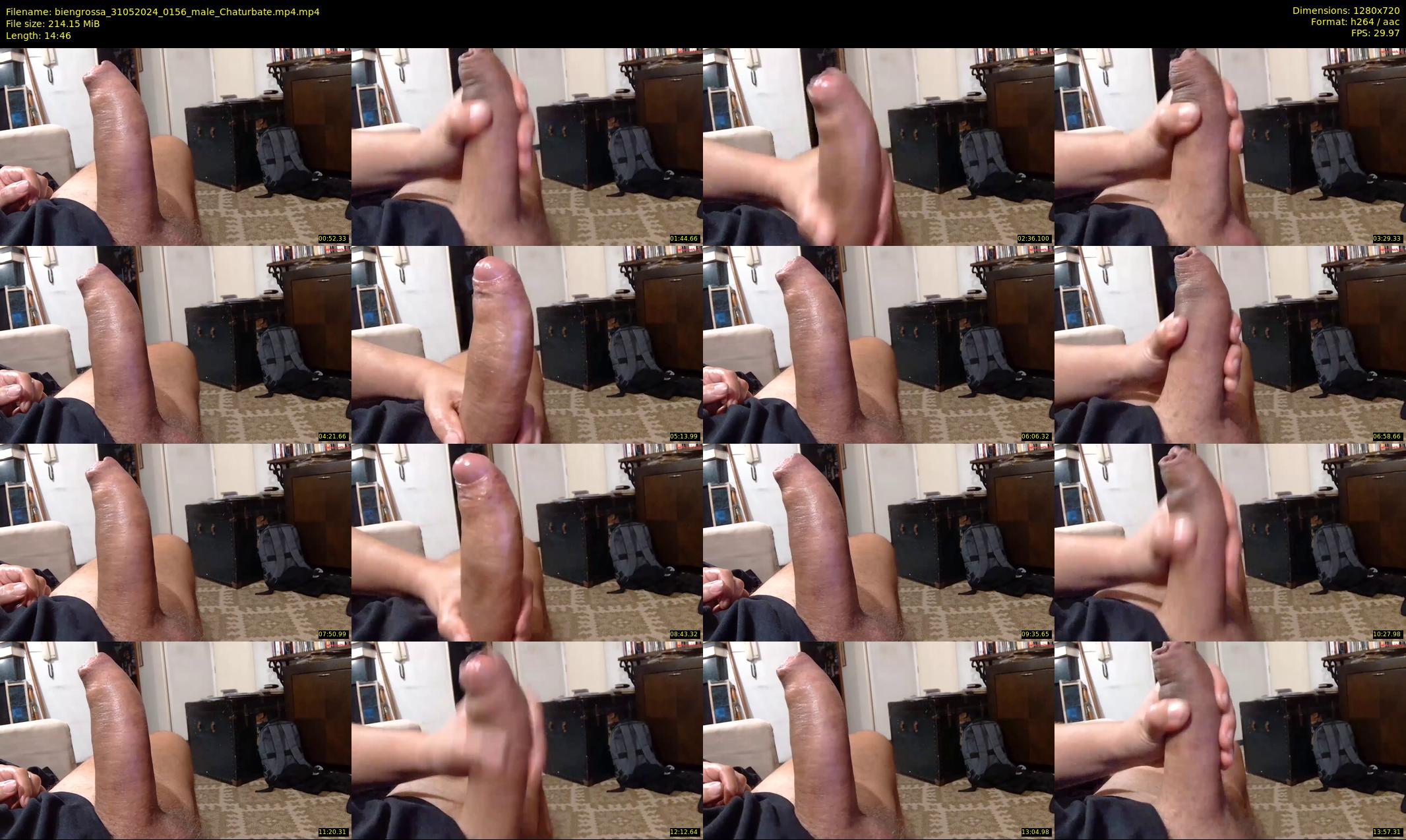 biengrossa — 15 minute Chaturbate male cam show recording, 720p, May 31, 2024