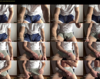 bestdick1991 — 22 minute Chaturbate male cam show recording, 720p, Jun 4, 2024