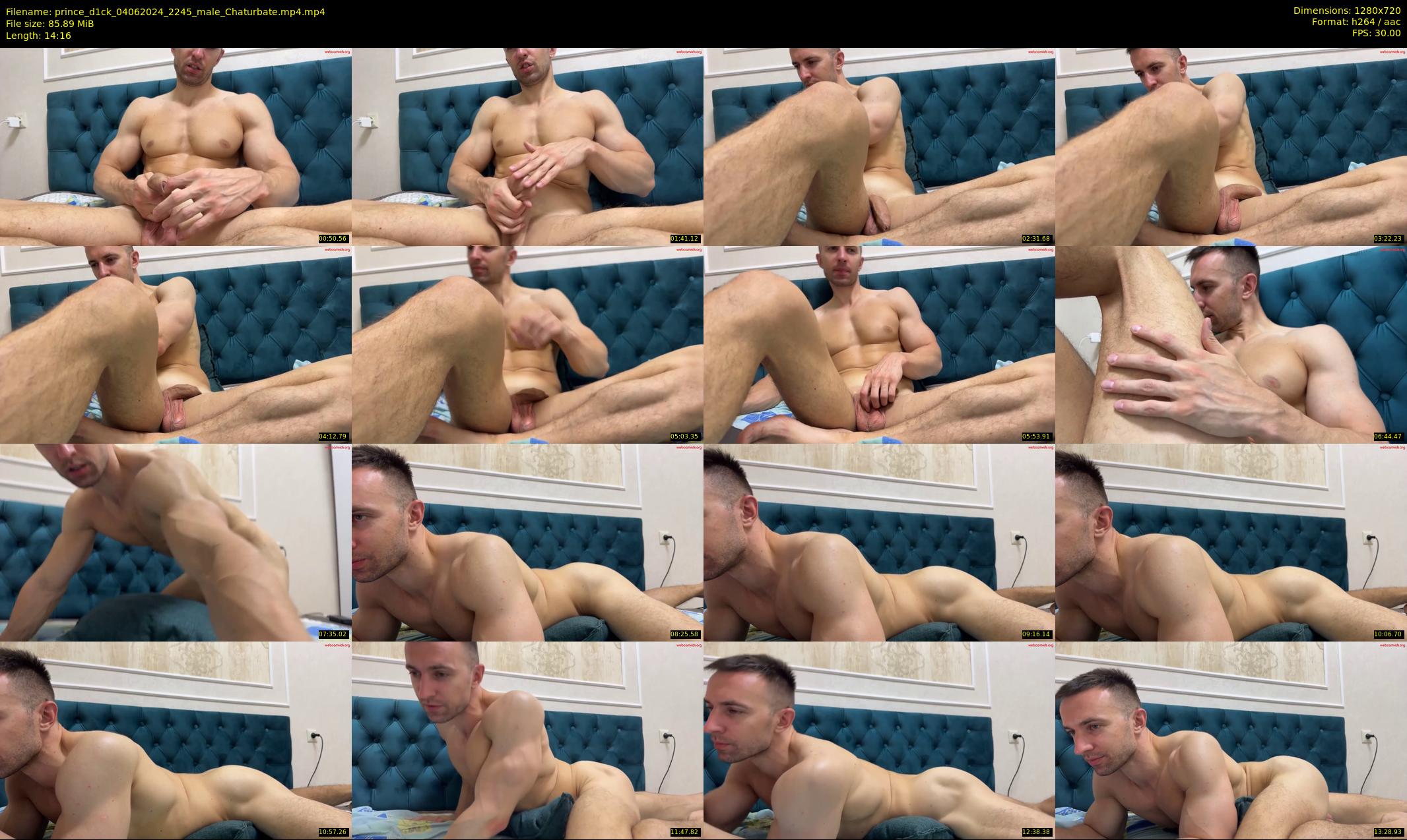 prince_d1ck — 15 minute Chaturbate male cam show recording, 720p, Jun 4, 2024