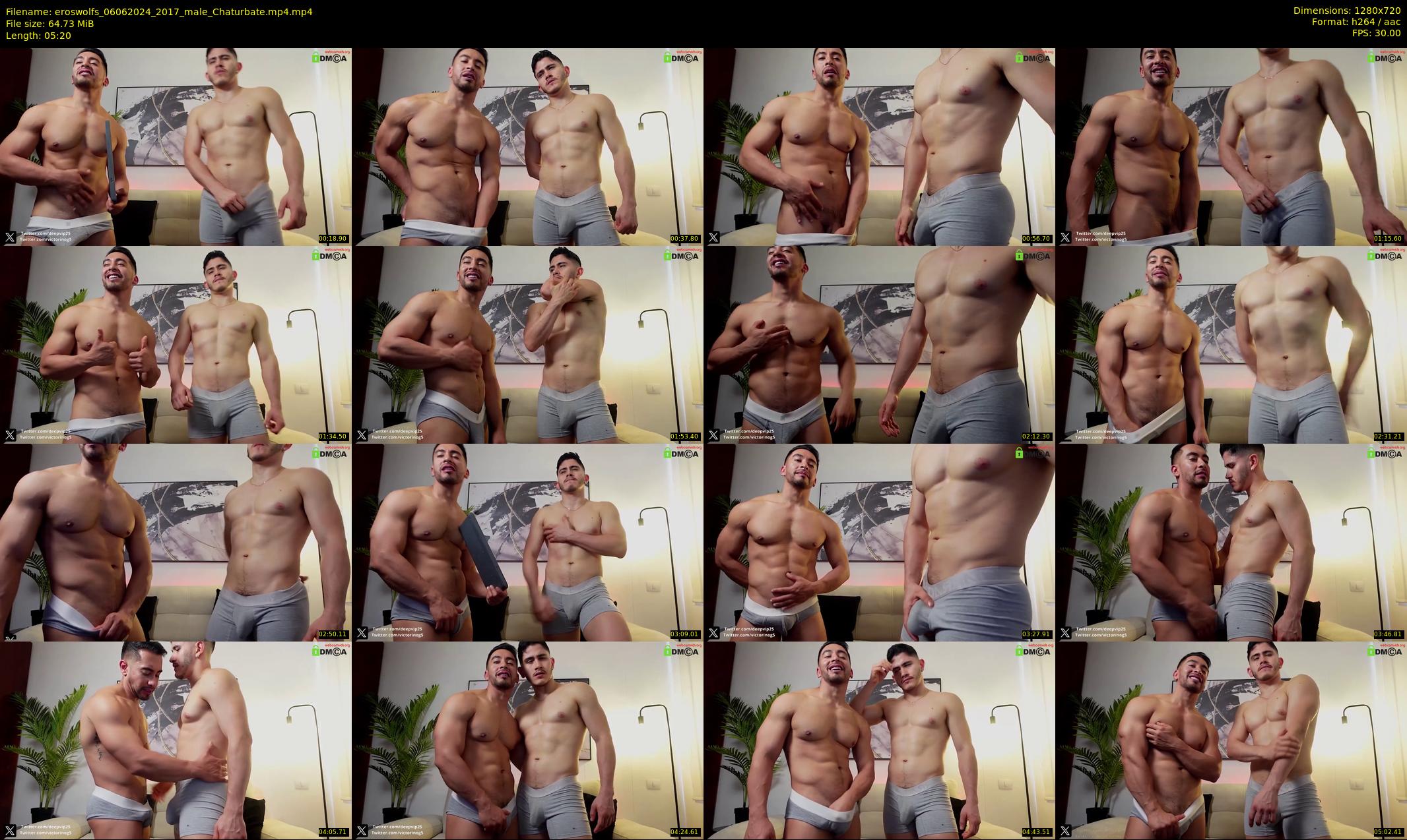 eroswolfs — 6 minute Chaturbate male cam show recording, 720p, Jun 6, 2024