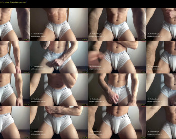 bestdick1991 — 14 minute Chaturbate male cam show recording, 720p, Jun 8, 2024