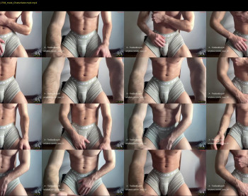 bestdick1991 — 6 minute Chaturbate male cam show recording, 720p, Jun 8, 2024