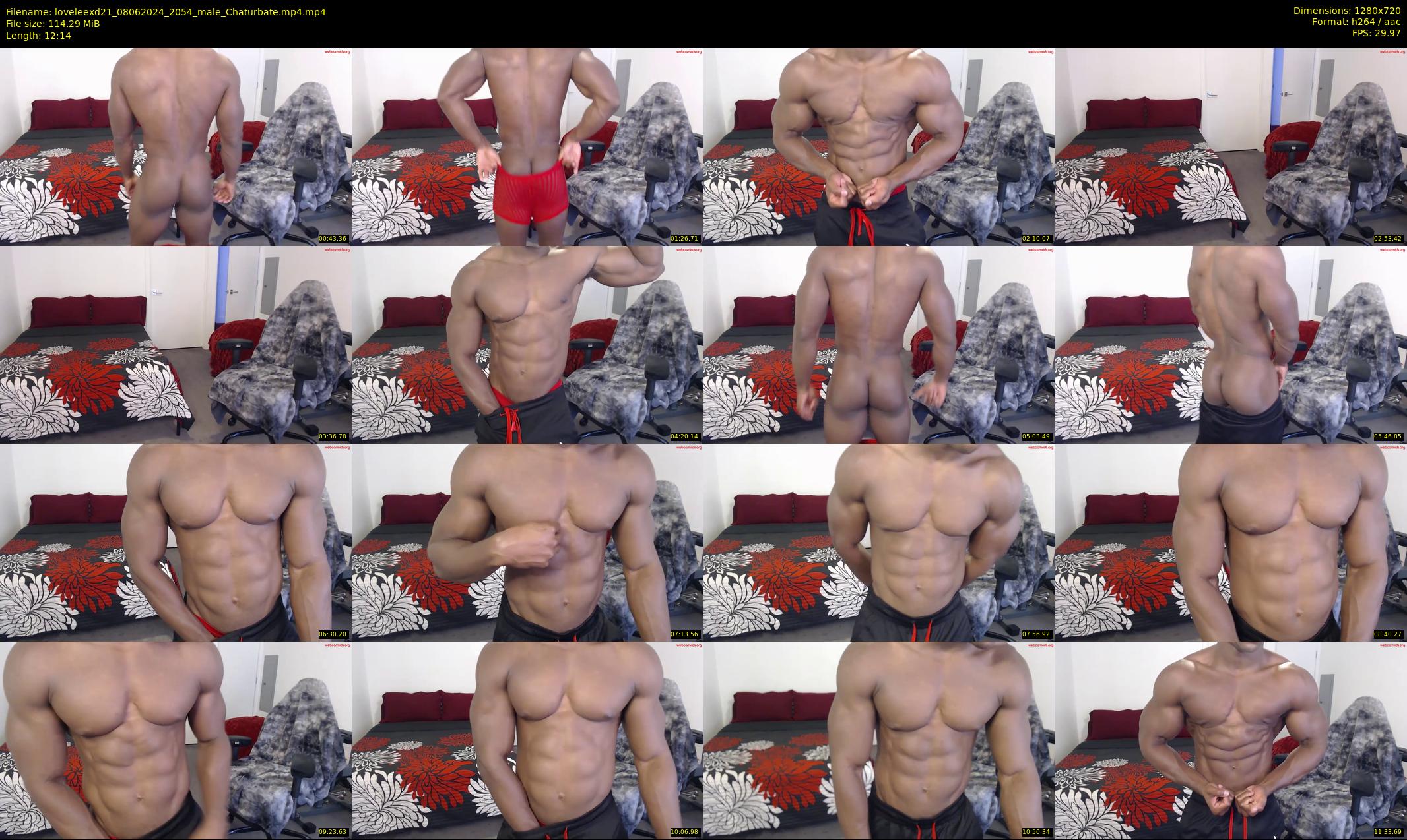 loveleexd21 — 13 minute Chaturbate male cam show recording, 720p, Jun 8, 2024