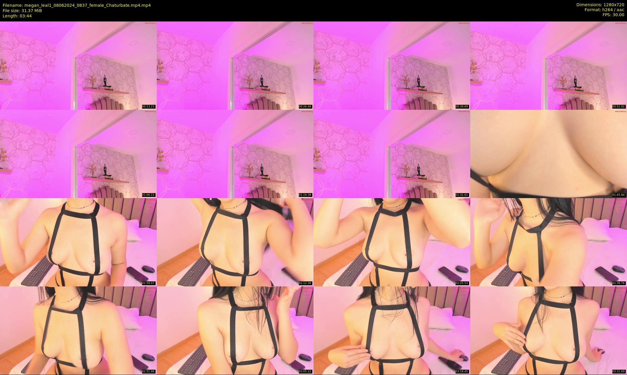 megan_leal1 — 4 minute Chaturbate female cam show recording, 720p, Jun 8, 2024