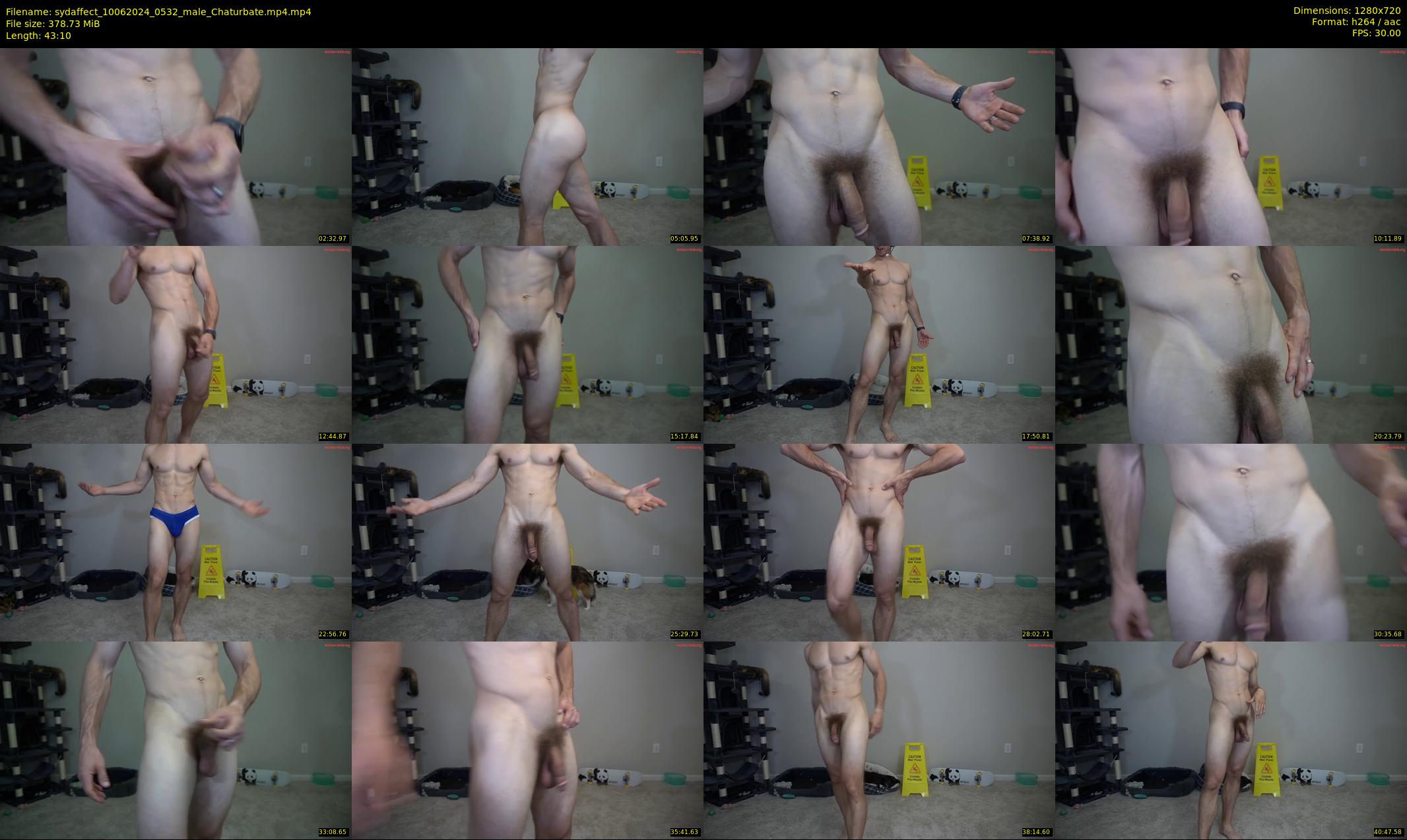 sydaffect — 44 minute Chaturbate male cam show recording, 720p, Jun 10, 2024