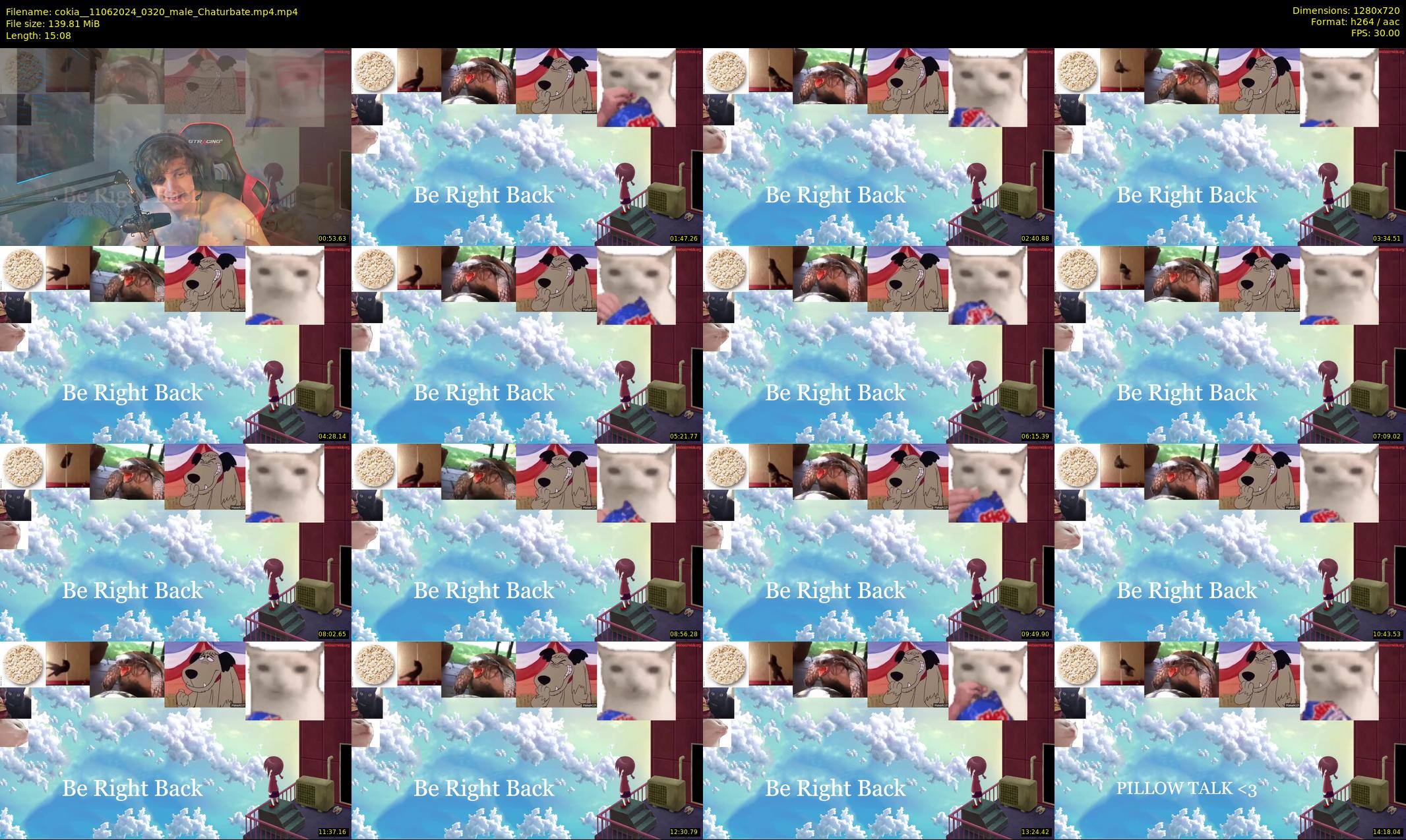 cokia_ — 16 minute Chaturbate male cam show recording, 720p, Jun 11, 2024