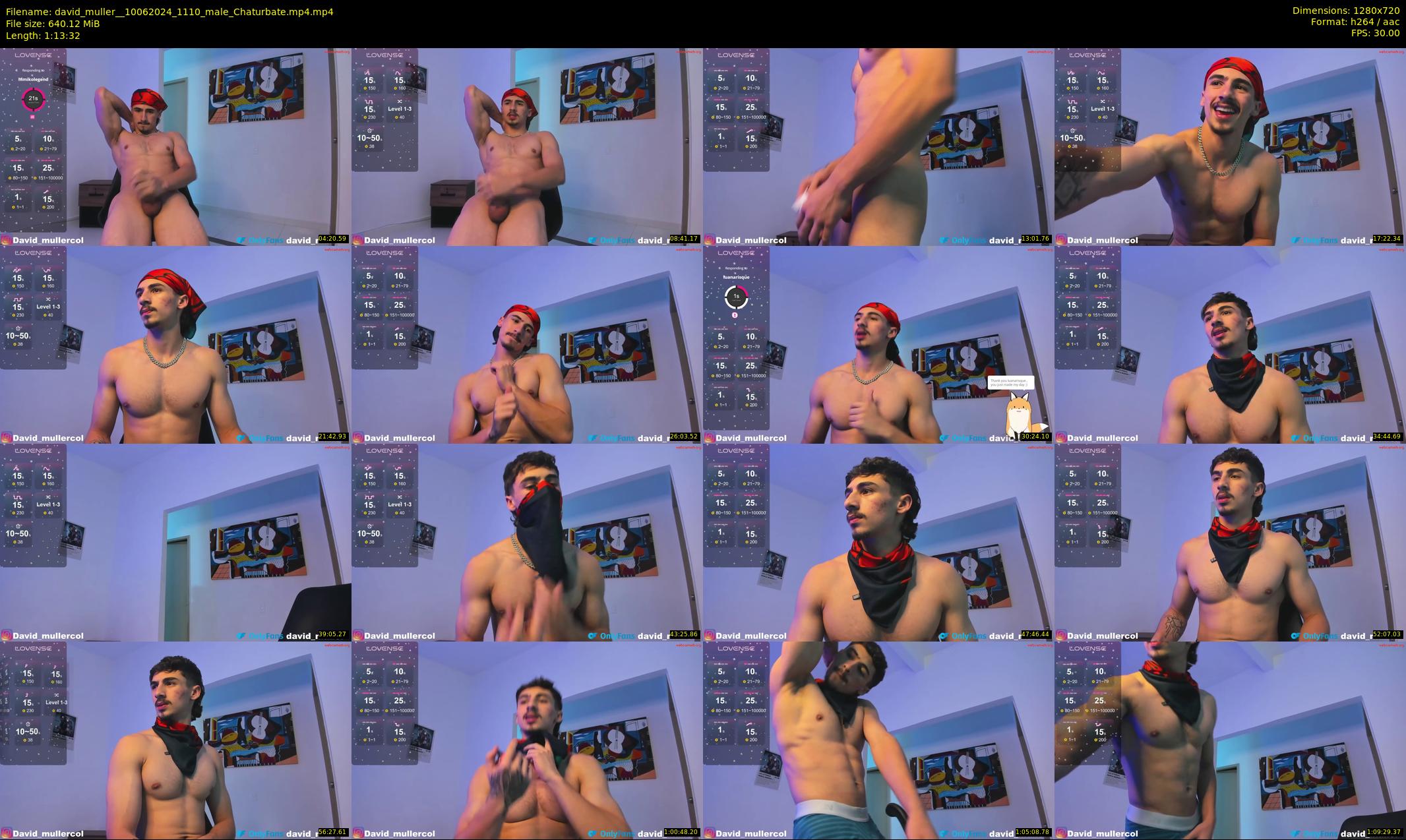 david_muller_ — 74 minute Chaturbate male cam show recording, 720p, Jun 10, 2024