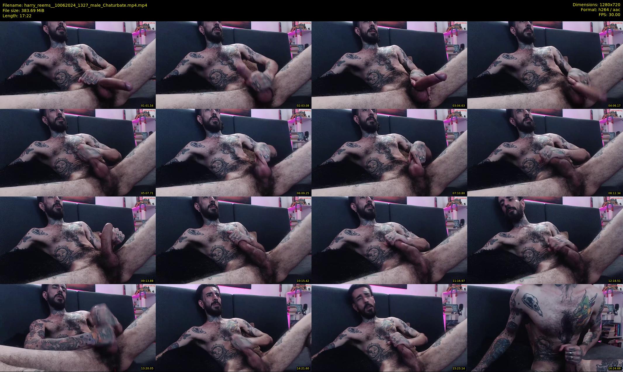 harry_reems_ — 18 minute Chaturbate male cam show recording, 720p, Jun 10, 2024