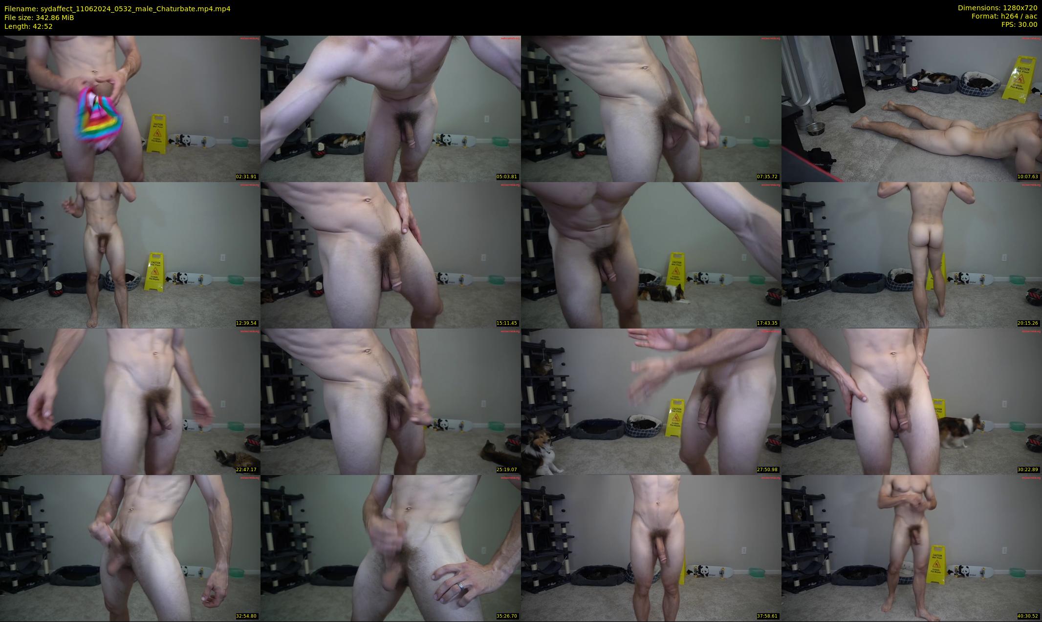 sydaffect — 43 minute Chaturbate male cam show recording, 720p, Jun 11, 2024