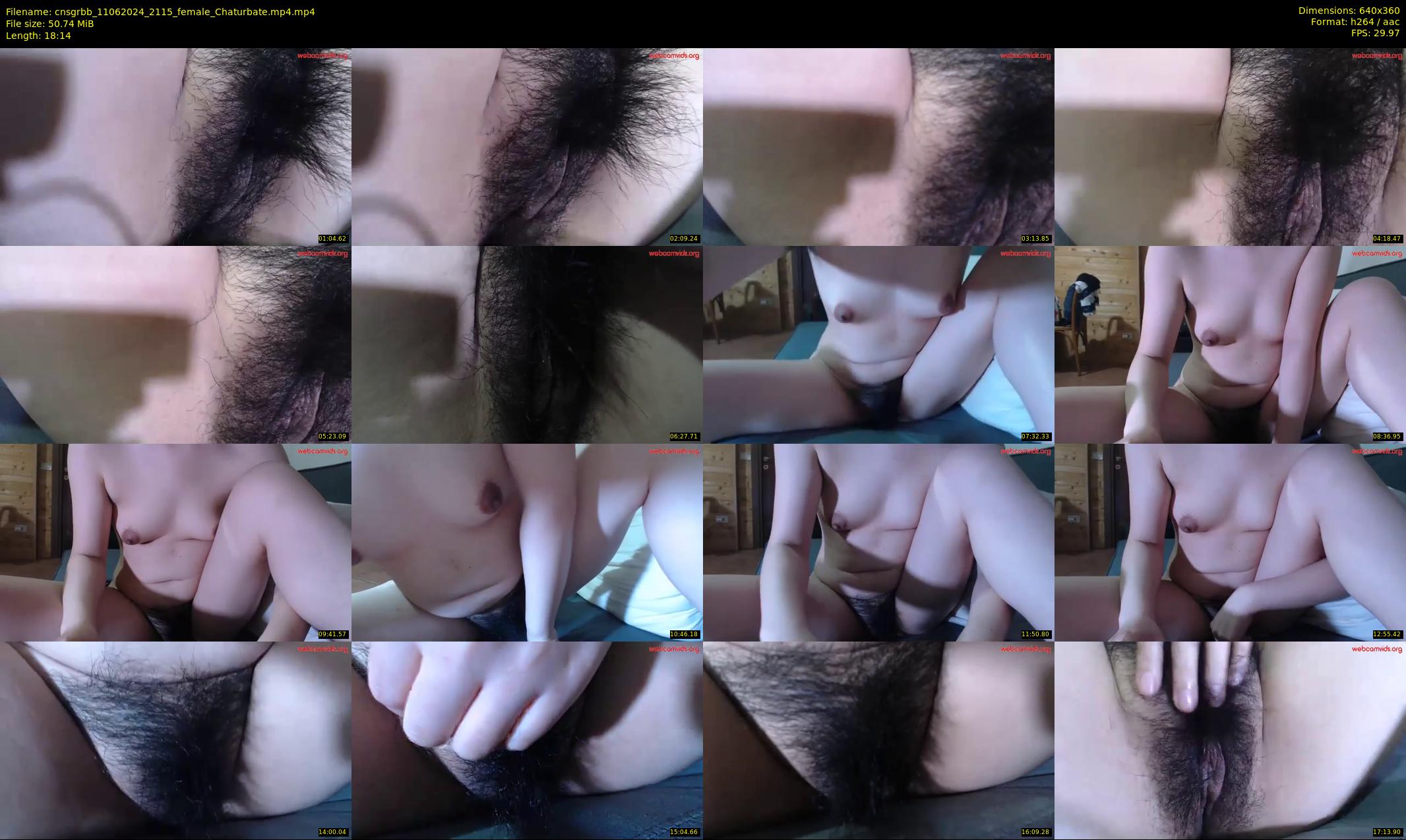 cnsgrbb — 19 minute Chaturbate female cam show recording, 360p, Jun 11, 2024