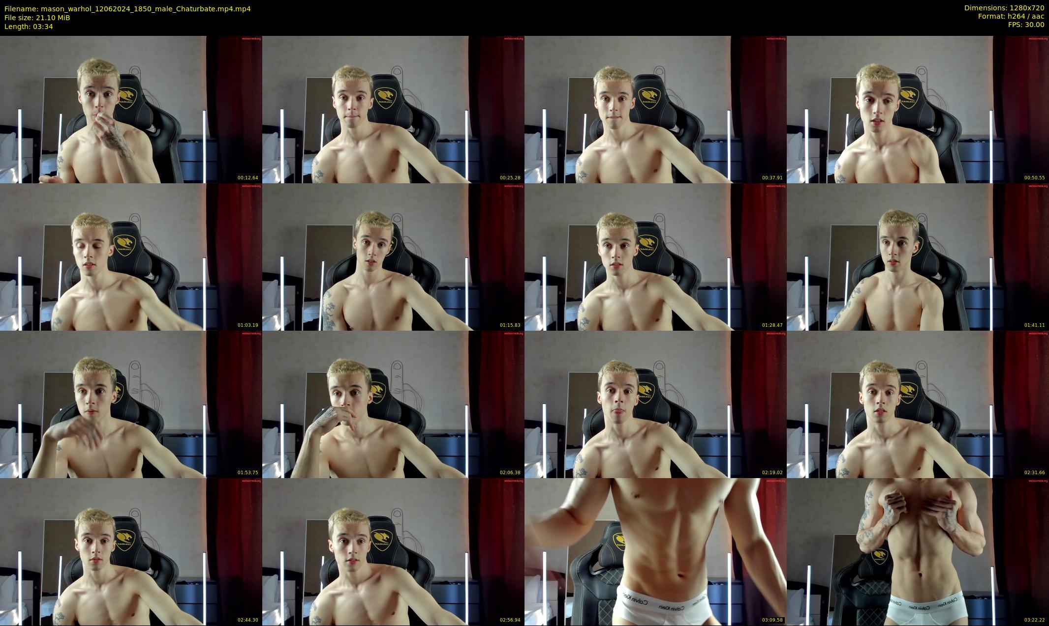 mason_warhol — 4 minute Chaturbate male cam show recording, 720p, Jun 12, 2024