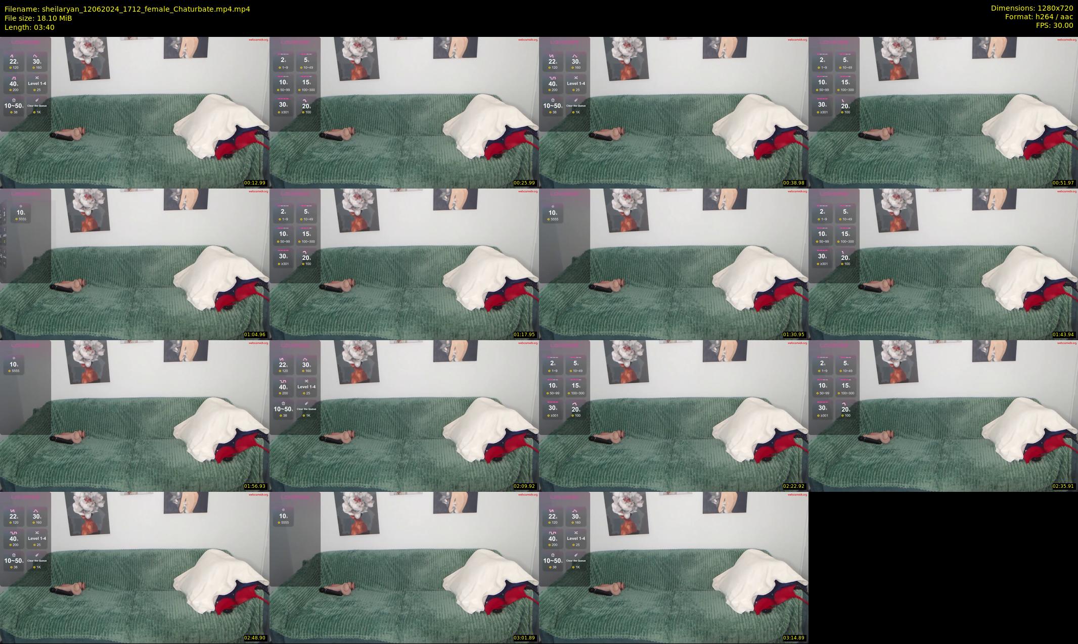 sheilaryan — 4 minute Chaturbate female cam show recording, 720p, Jun 12, 2024