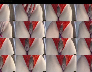 bigclitti — 23 minute Chaturbate female cam show recording, 720p, Jun 13, 2024