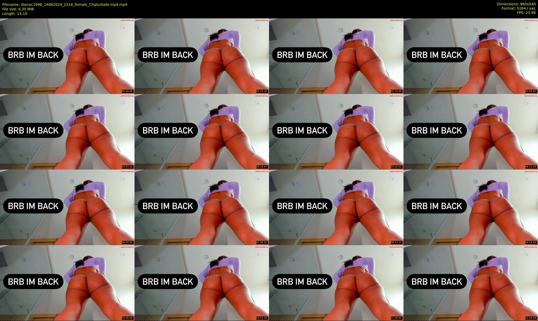 dianac1998 — 14 minute Chaturbate female cam show recording, 480p, Jun 14, 2024