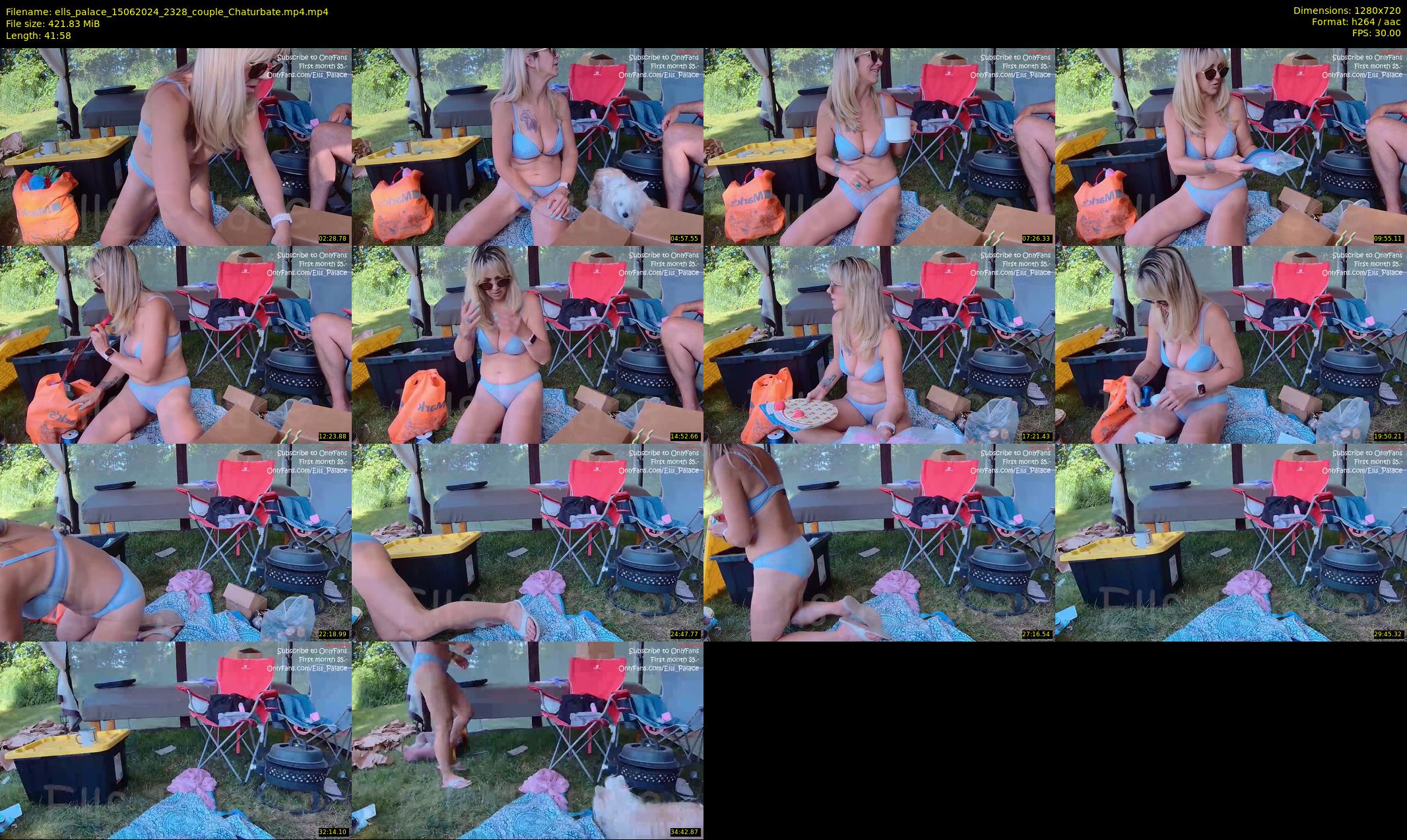 ells_palace — 42 minute Chaturbate female cam show recording, 720p, Jun 15, 2024