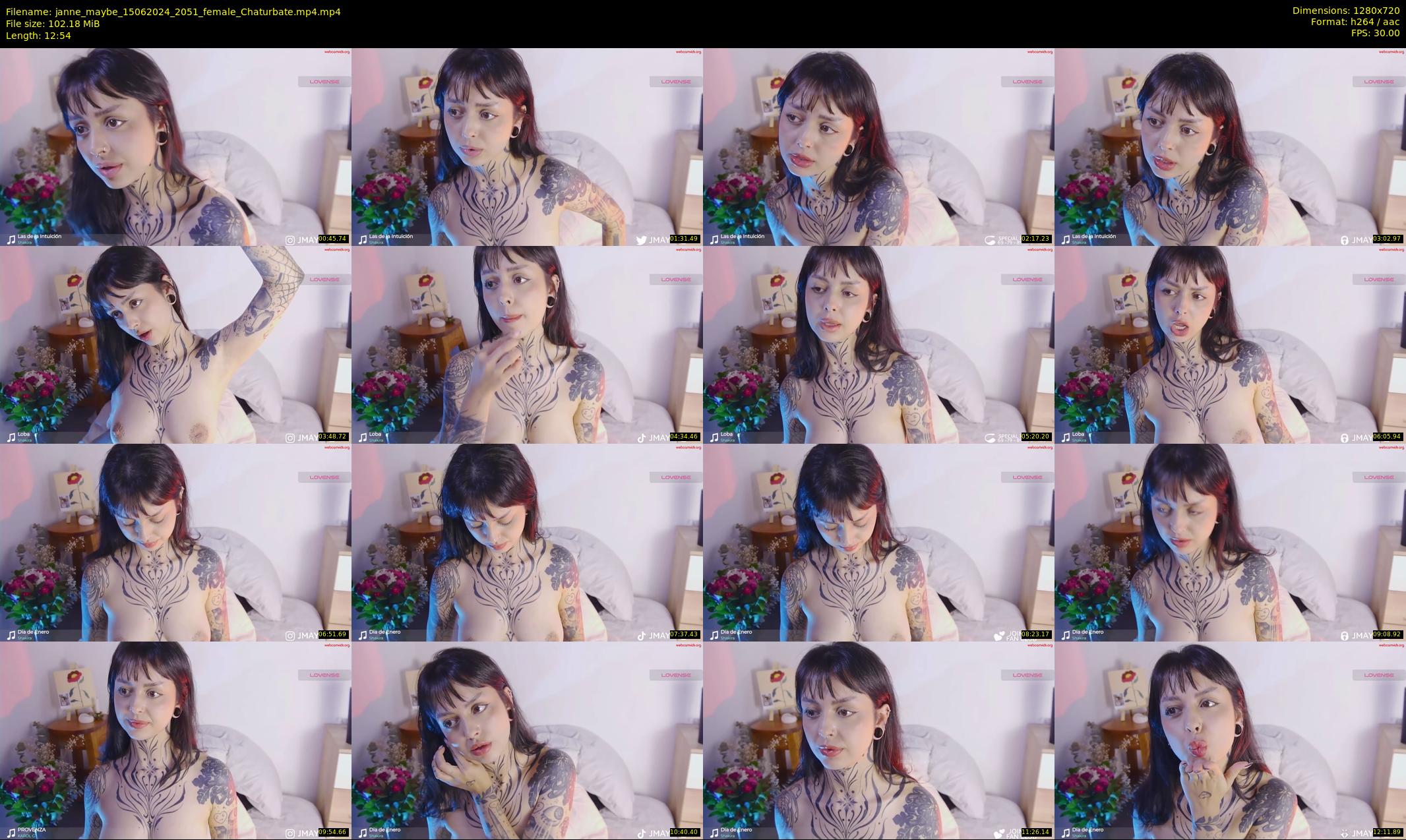 janne_maybe — 13 minute Chaturbate female cam show recording, 720p, Jun 15, 2024