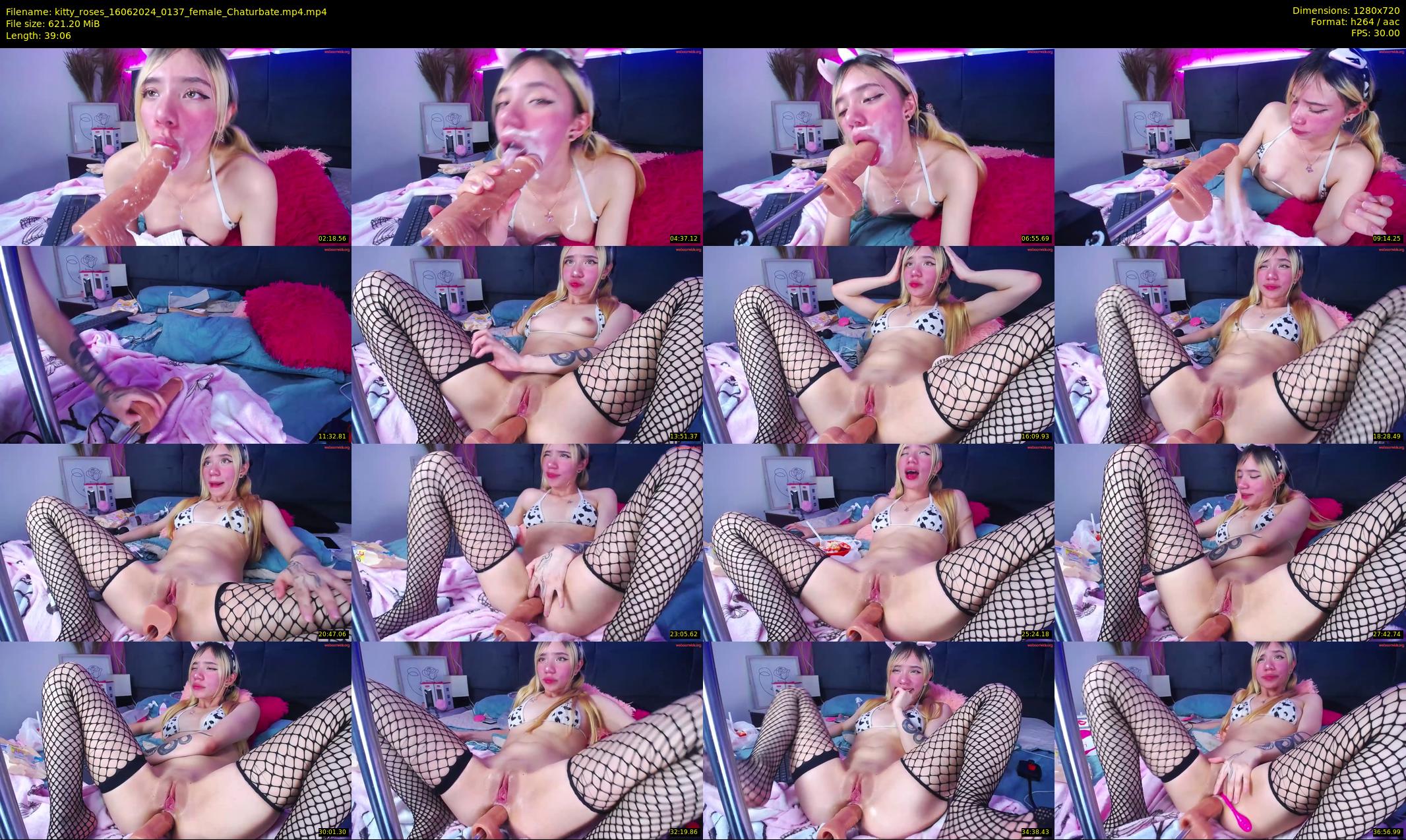 kitty_roses — 40 minute Chaturbate female cam show recording, 720p, Jun 16, 2024