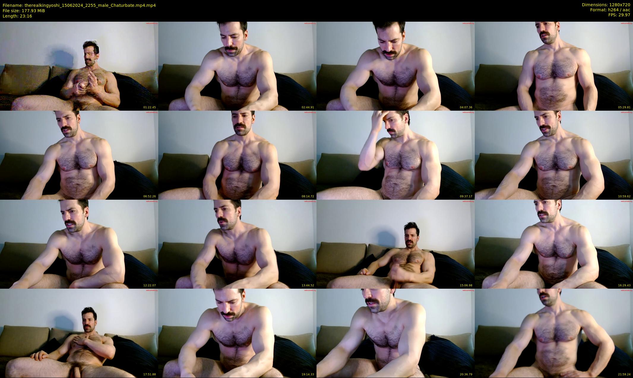 therealkingyoshi — 24 minute Chaturbate male cam show recording, 720p, Jun 15, 2024