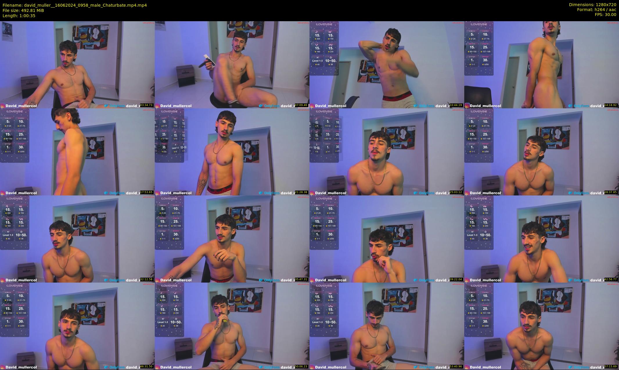 david_muller_ — 61 minute Chaturbate male cam show recording, 720p, Jun 16, 2024