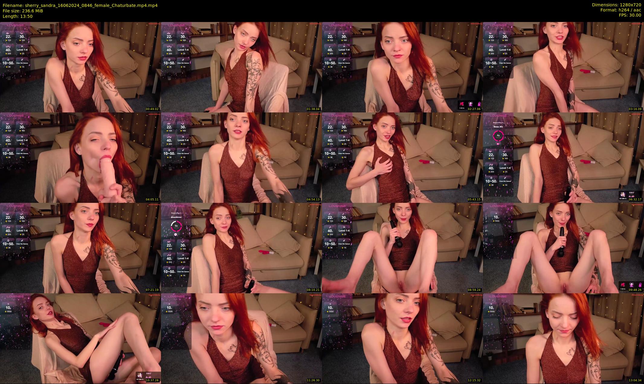sherry_sandra — 14 minute Chaturbate female cam show recording, 720p, Jun 16, 2024