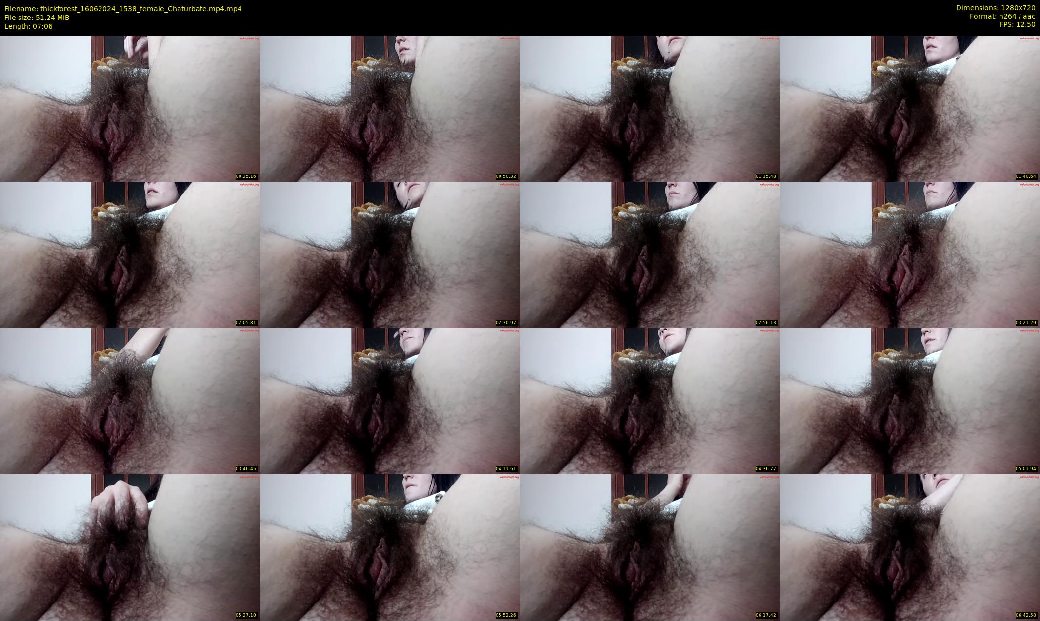 thickforest — 8 minute Chaturbate female cam show recording, 720p, Jun 16, 2024