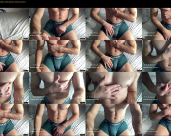 bestdick1991 — 17 minute Chaturbate male cam show recording, 720p, Jun 17, 2024