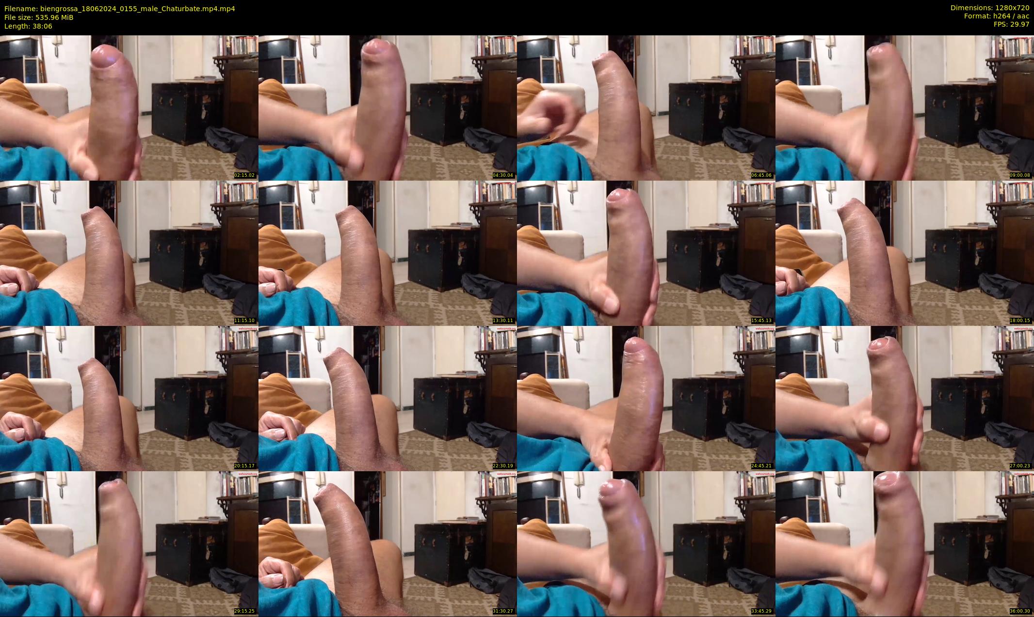 biengrossa — 39 minute Chaturbate male cam show recording, 720p, Jun 18, 2024