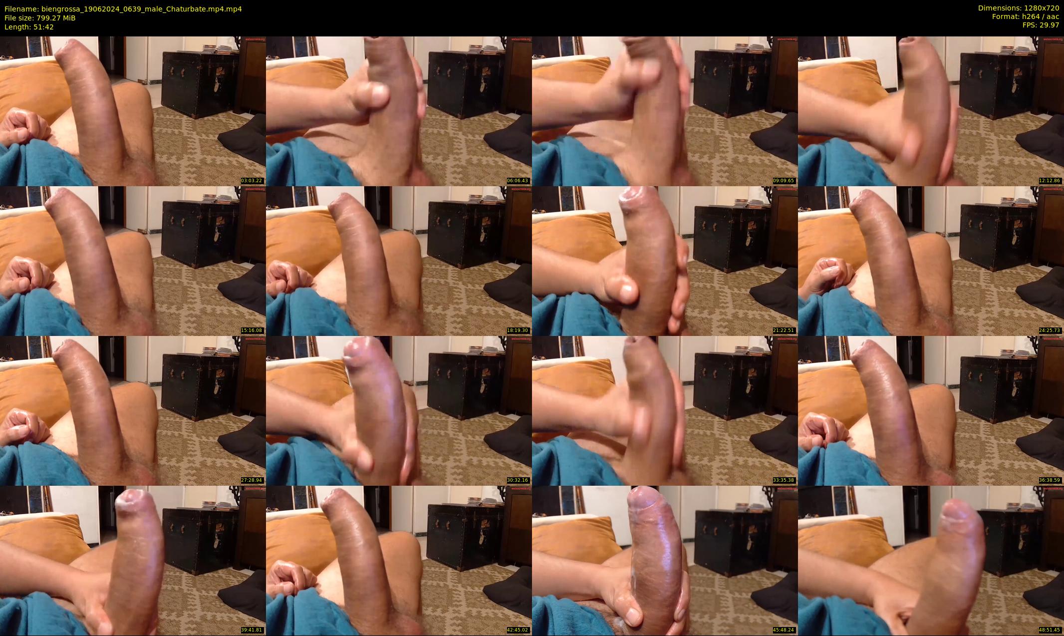 biengrossa — 52 minute Chaturbate male cam show recording, 720p, Jun 19, 2024