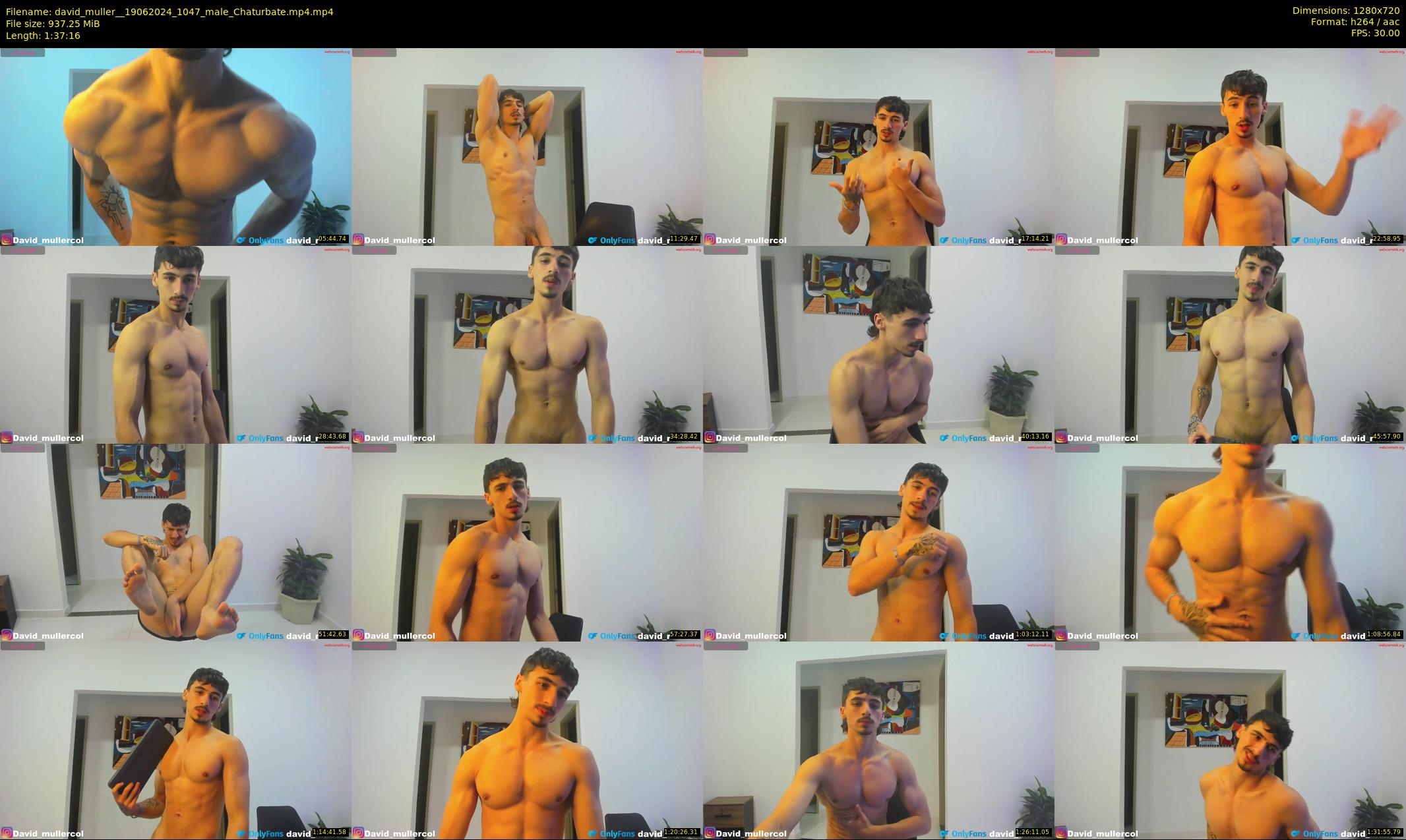 david_muller_ — 98 minute Chaturbate male cam show recording, 720p, Jun 19, 2024