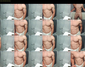 advp69 — 14 minute Chaturbate male cam show recording, 480p, Jun 20, 2024