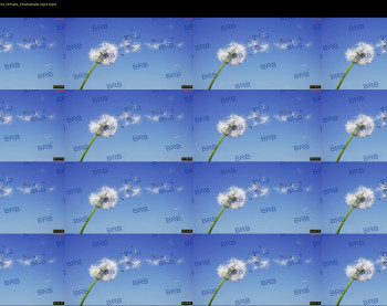 lara_fisher — 8 minute Chaturbate female cam show recording, 720p, Jun 20, 2024