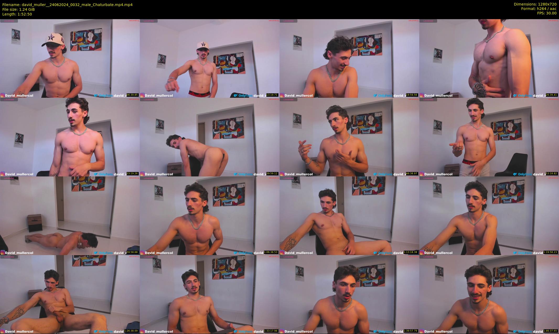 david_muller_ — 113 minute Chaturbate male cam show recording, 720p, Jun 24, 2024