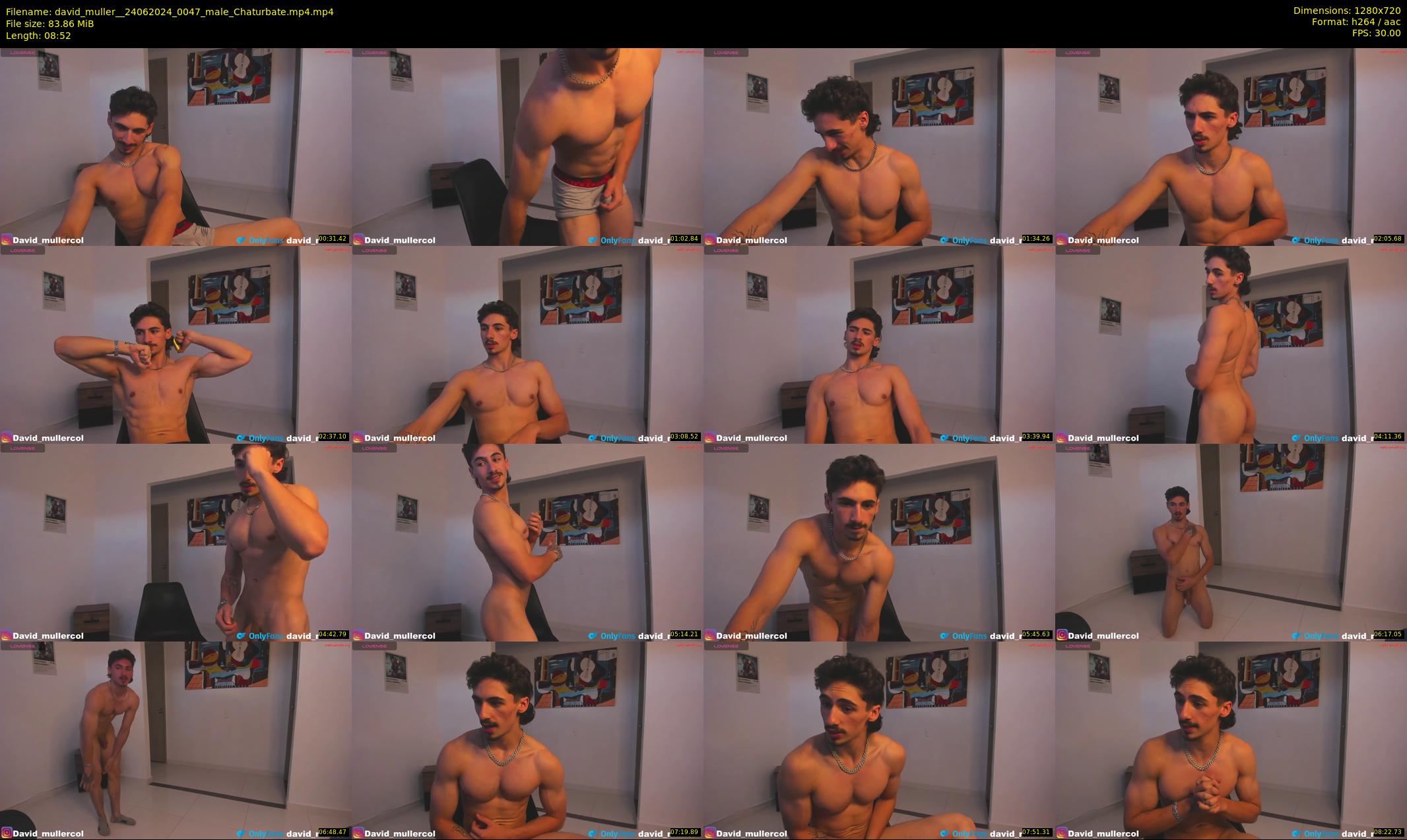 david_muller_ — 9 minute Chaturbate male cam show recording, 720p, Jun 24, 2024