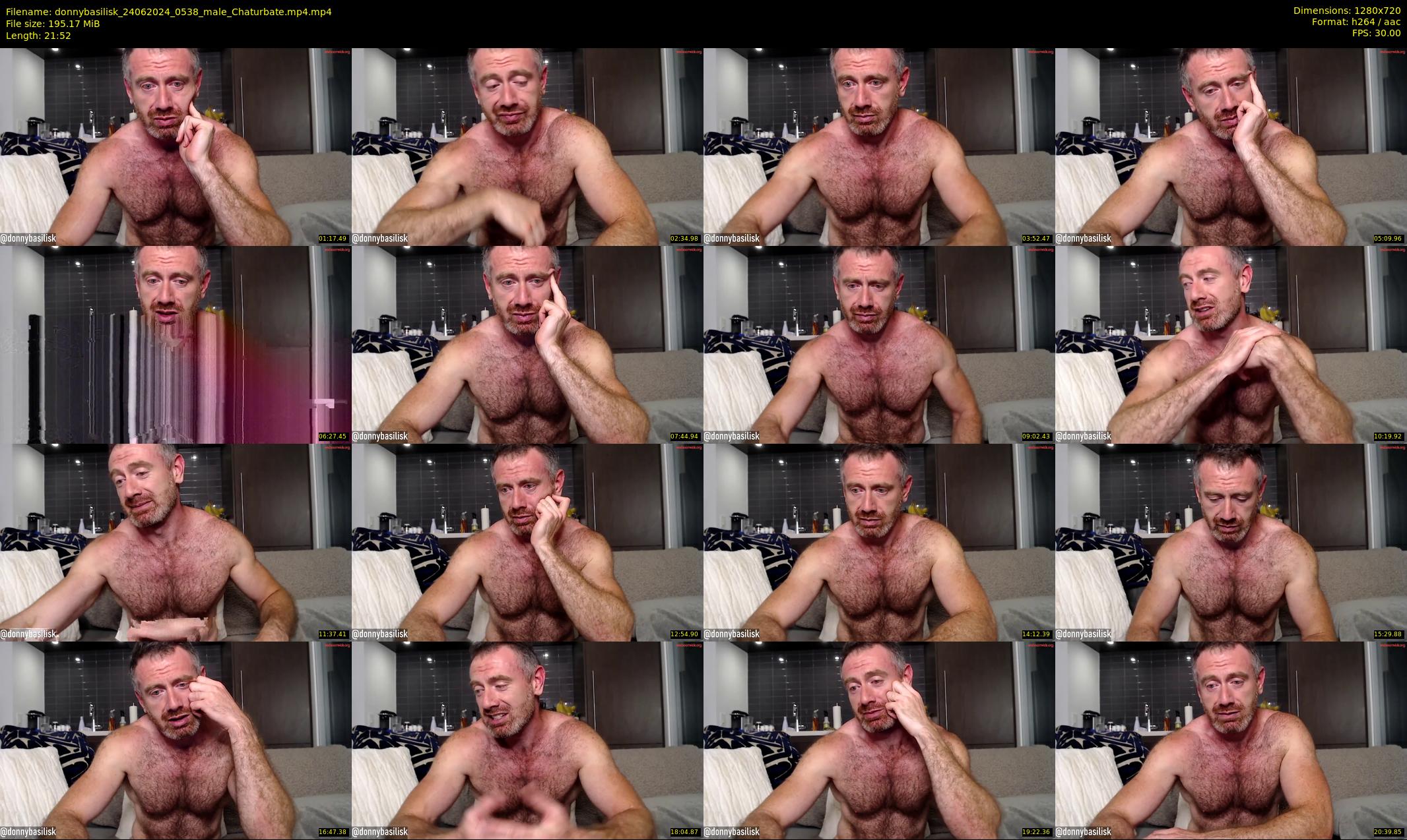 donnybasilisk — 22 minute Chaturbate male cam show recording, 720p, Jun 24, 2024