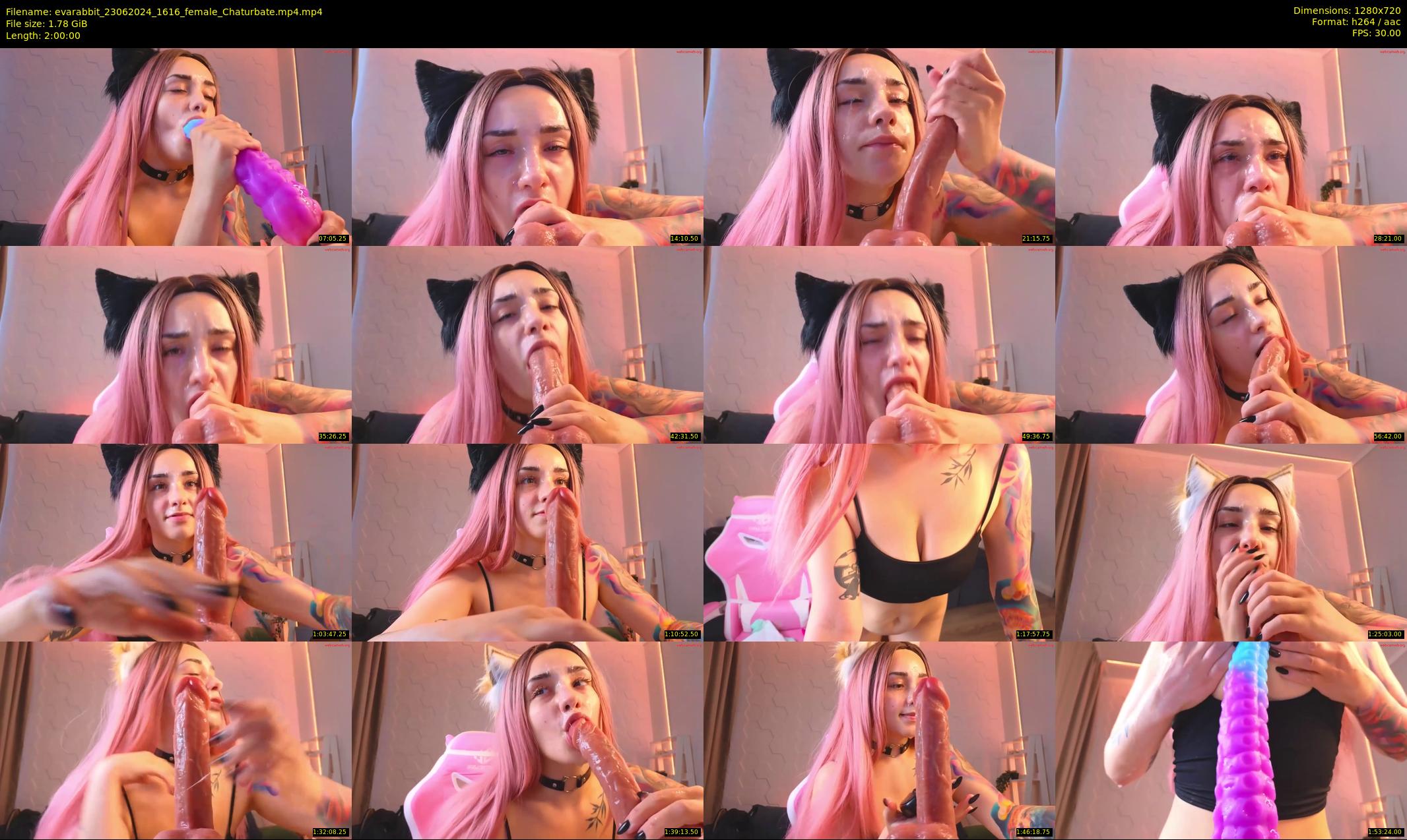 evarabbit — 120 minute Chaturbate female cam show recording, 720p, Jun 23, 2024