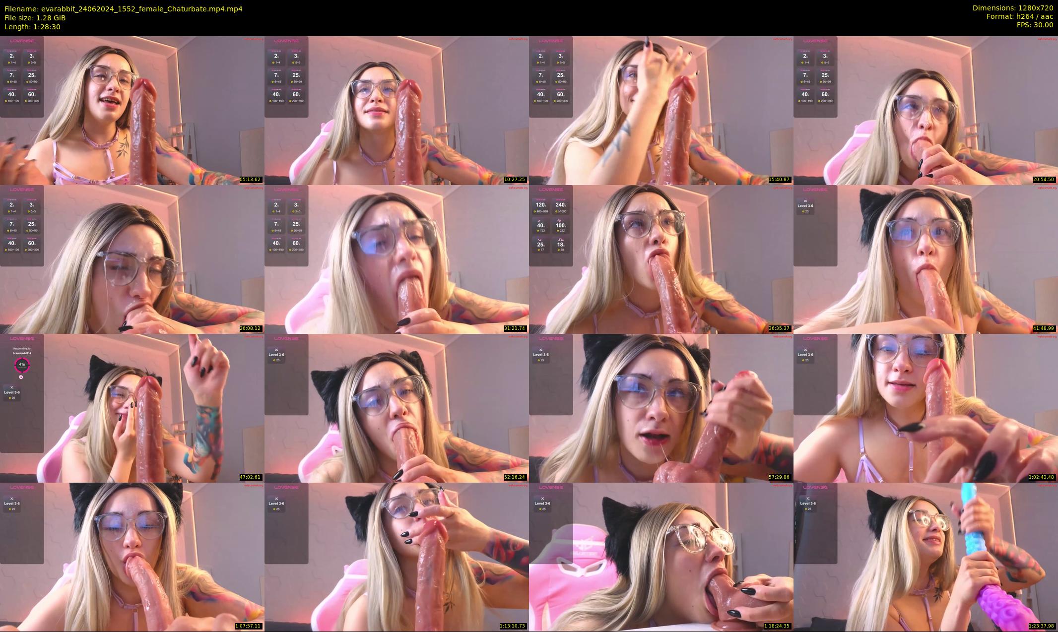 evarabbit — 89 minute Chaturbate female cam show recording, 720p, Jun 24, 2024