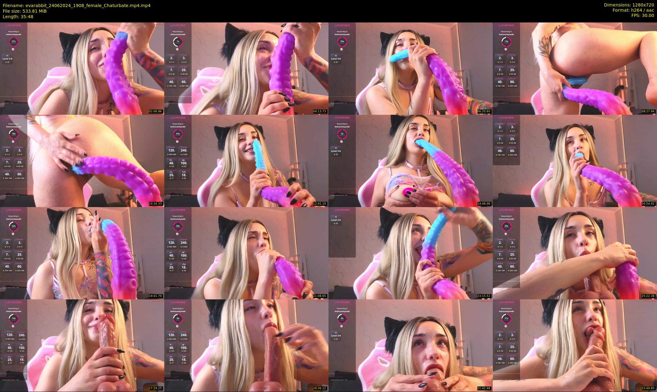 evarabbit — 36 minute Chaturbate female cam show recording, 720p, Jun 24, 2024