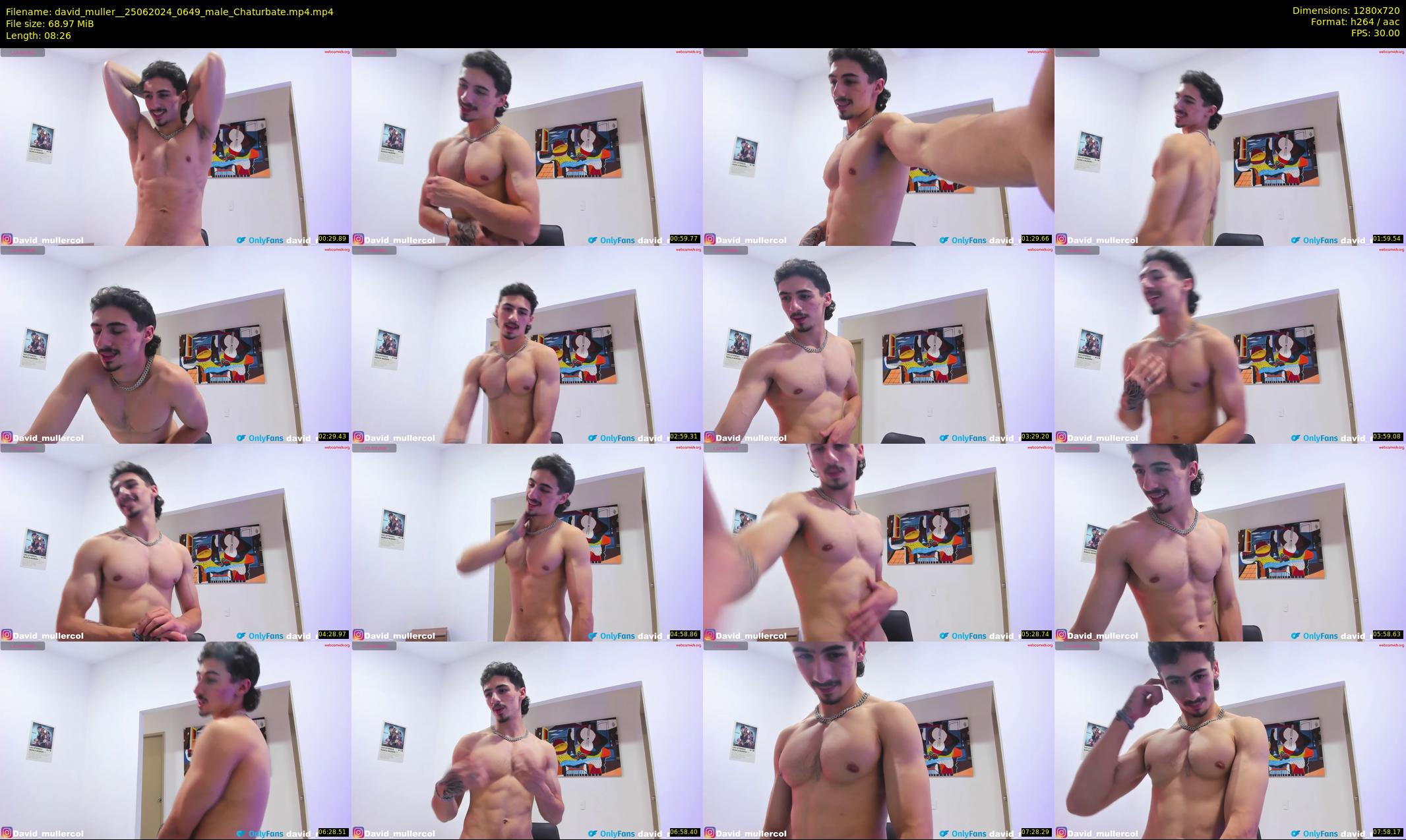 david_muller_ — 9 minute Chaturbate male cam show recording, 720p, Jun 25, 2024