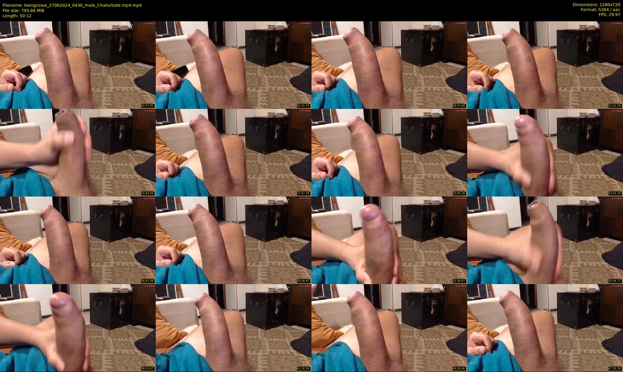 biengrossa — 51 minute Chaturbate male cam show recording, 720p, Jun 27, 2024
